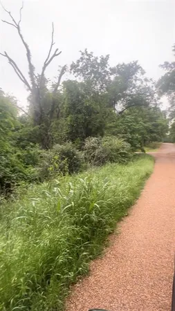 a view of a yard with an trees