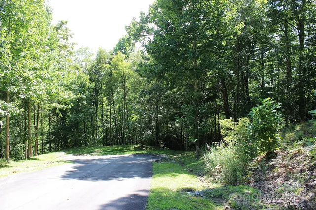 $100,000 | 120 Ivywood Lane, Laurel Park, NC 28739