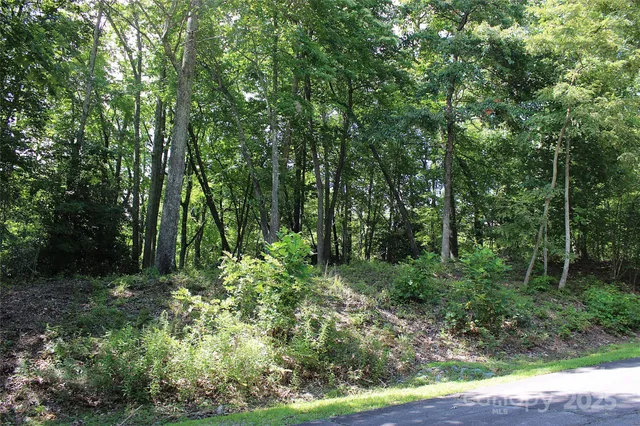 $100,000 | 120 Ivywood Lane, Laurel Park, NC 28739