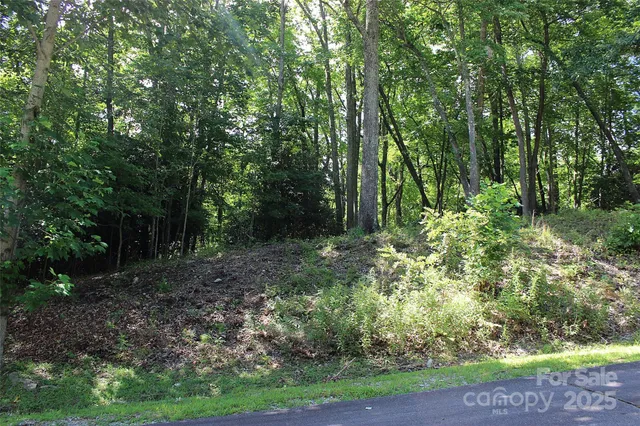 $100,000 | 120 Ivywood Lane, Laurel Park, NC 28739