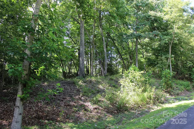 $100,000 | 120 Ivywood Lane, Laurel Park, NC 28739