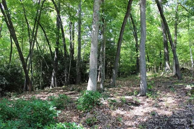 $100,000 | 120 Ivywood Lane, Laurel Park, NC 28739