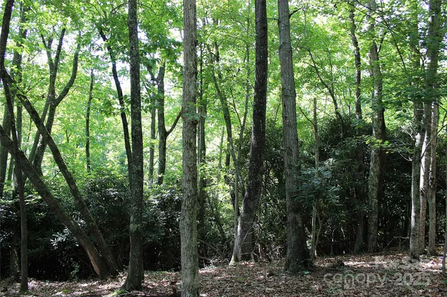 $100,000 | 120 Ivywood Lane, Laurel Park, NC 28739