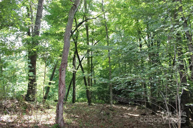 $100,000 | 120 Ivywood Lane, Laurel Park, NC 28739