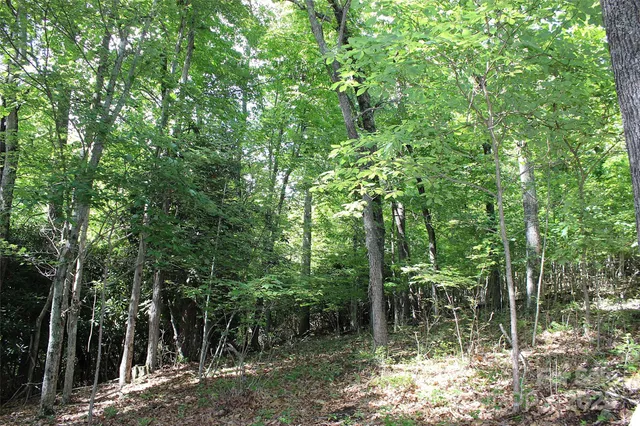 $100,000 | 120 Ivywood Lane, Laurel Park, NC 28739