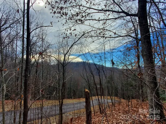 $100,000 | 120 Ivywood Lane, Laurel Park, NC 28739