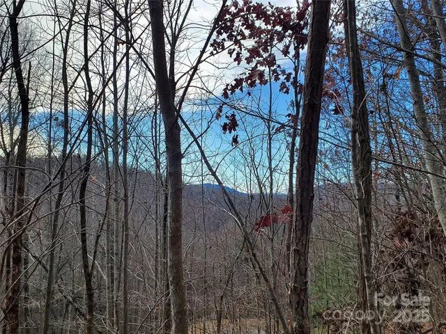 $100,000 | 120 Ivywood Lane, Laurel Park, NC 28739