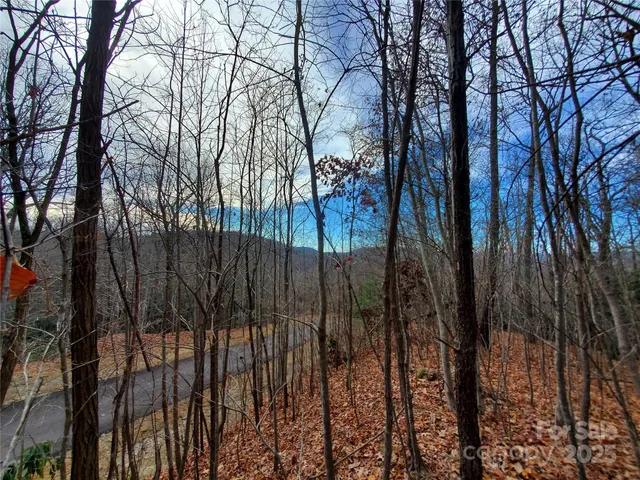 $100,000 | 120 Ivywood Lane, Laurel Park, NC 28739