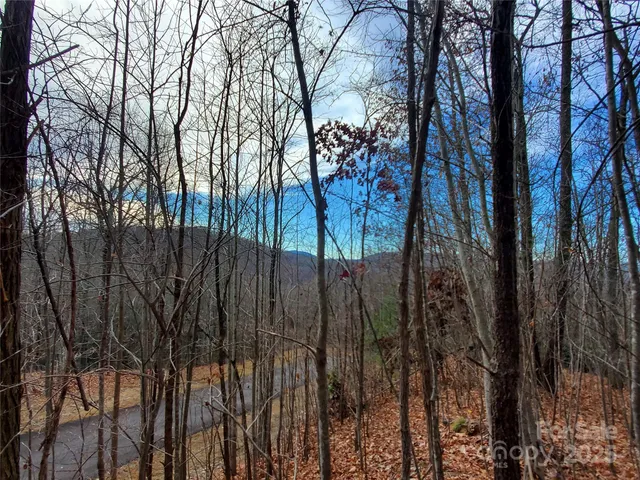 $100,000 | 120 Ivywood Lane, Laurel Park, NC 28739