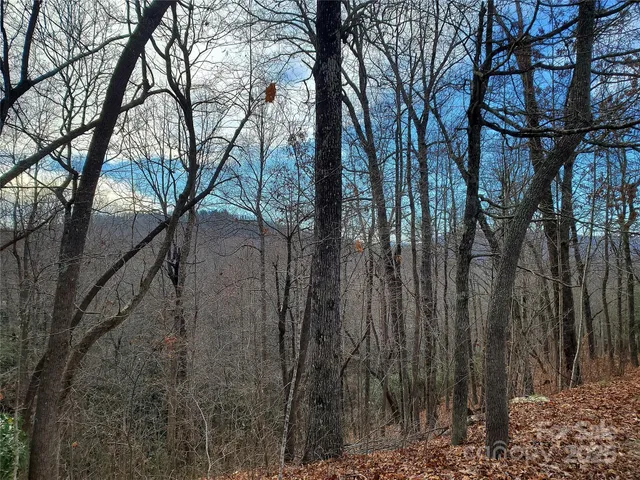 $100,000 | 120 Ivywood Lane, Laurel Park, NC 28739