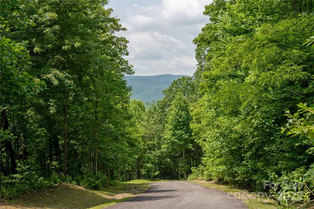 $100,000 | 120 Ivywood Lane, Laurel Park, NC 28739