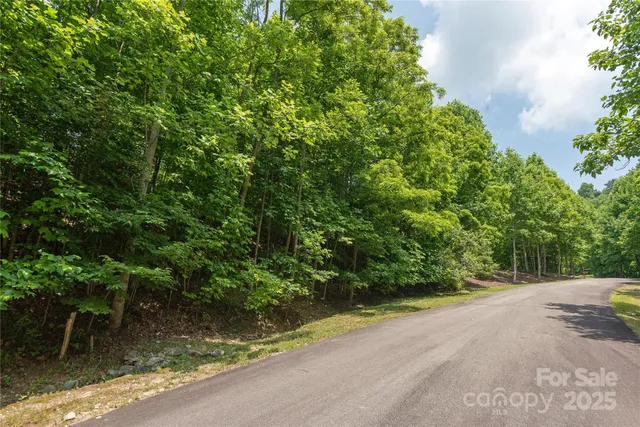 $100,000 | 120 Ivywood Lane, Laurel Park, NC 28739