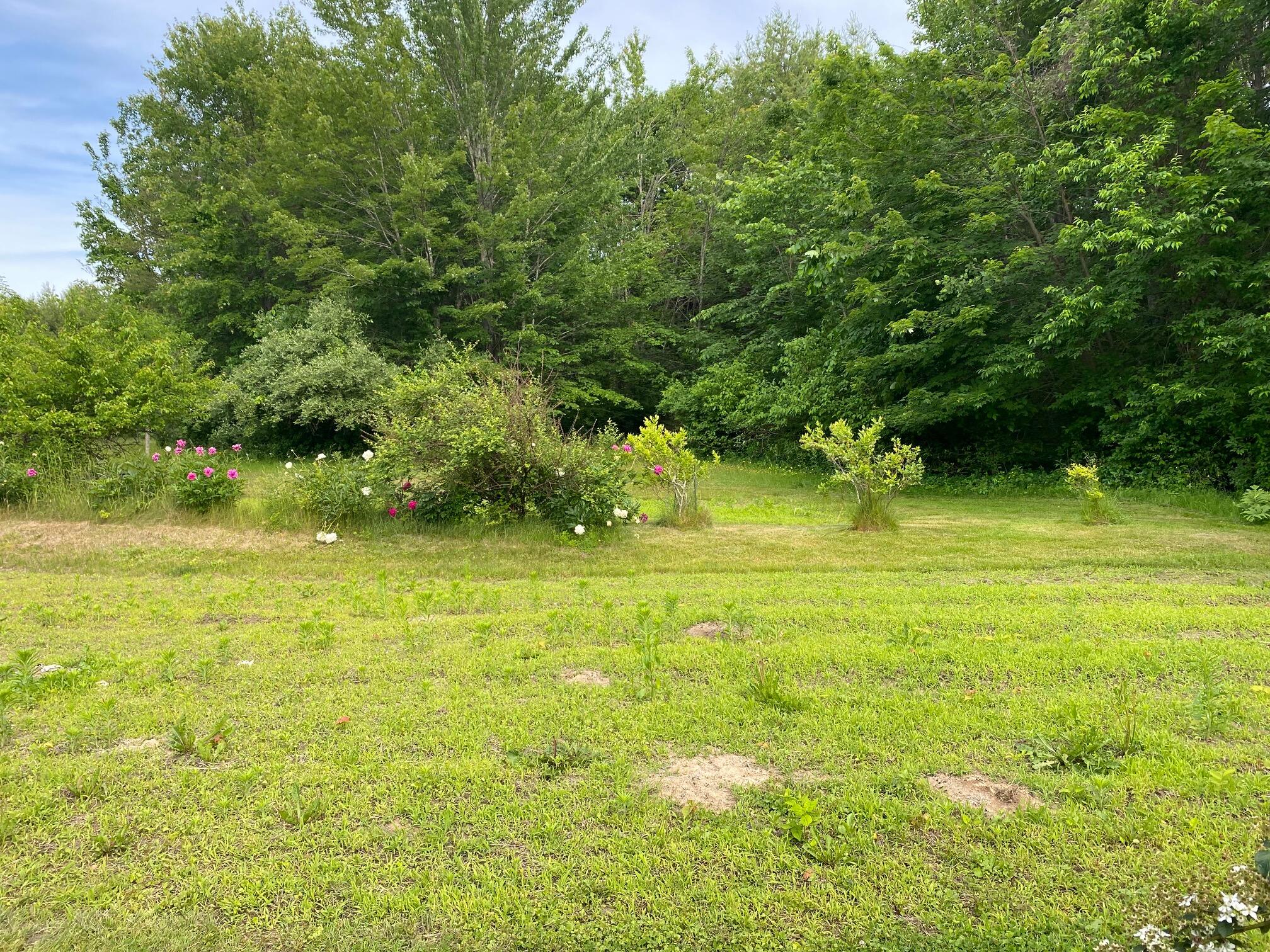 35 Parker Farm Road Buxton, ME 04093 - Photo 8 of 38 Land