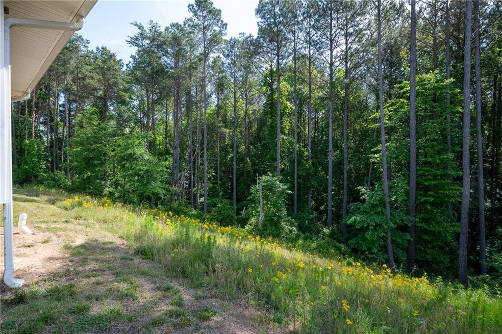 191 Hightower Loop Road Ranger, GA 30734 - Photo 33 of 38
