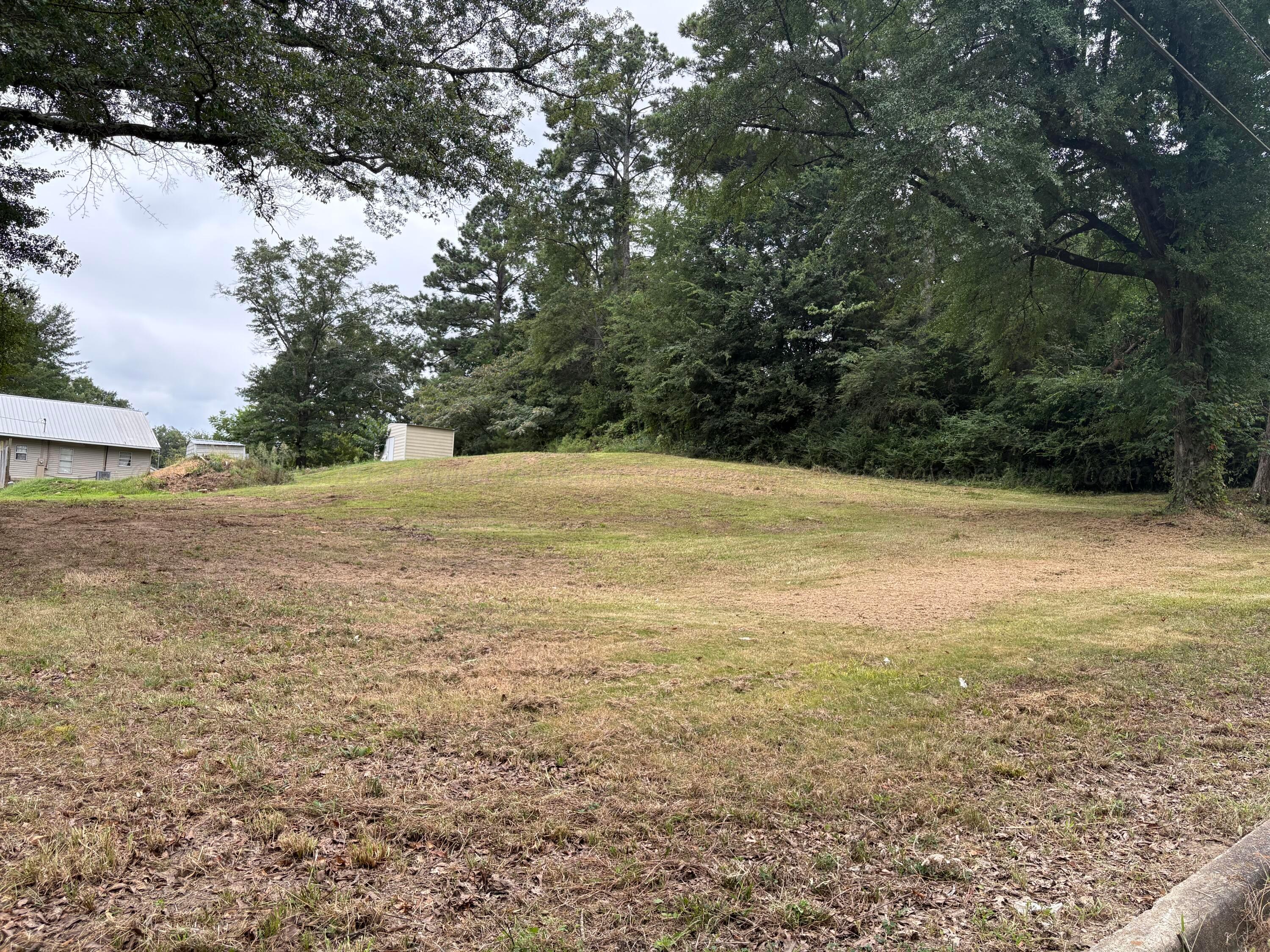 3rd Place Jasper, AL 35501 - Photo 5 of 5 View 4
