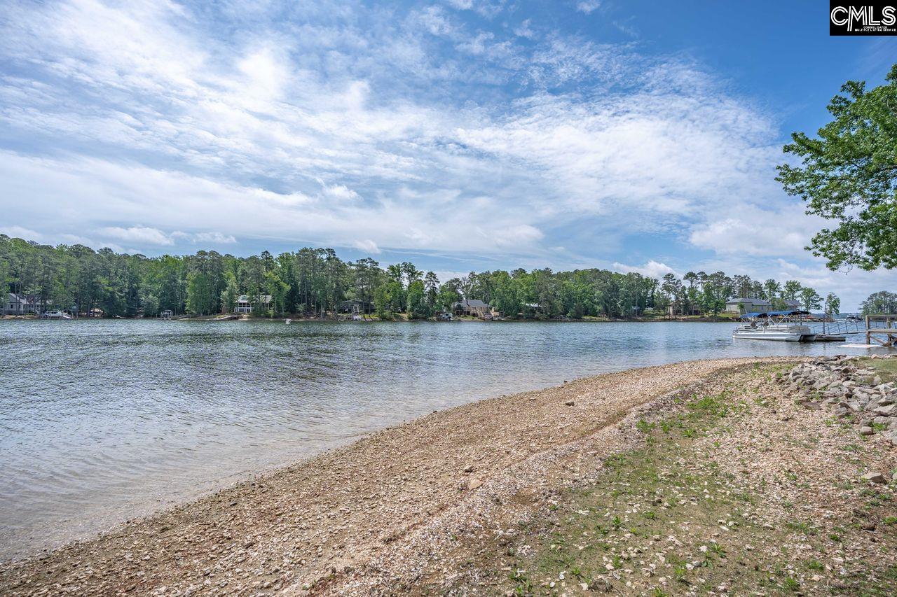 1137 Hilton Point Road Chapin, SC 29036 - Photo 4 of 24