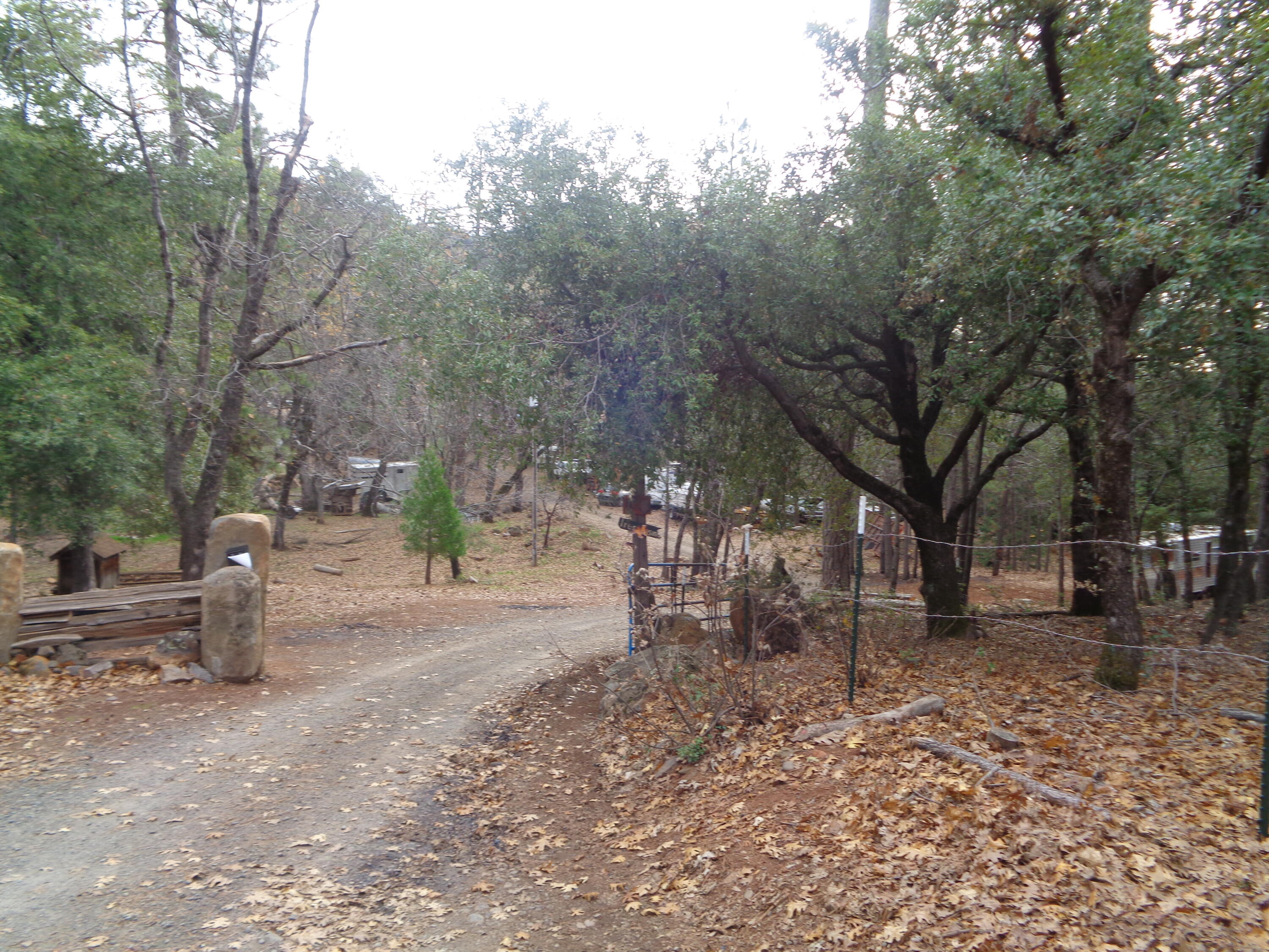 27800 Old Stage Road Oak Run, CA 96069 - Photo 2 of 6 a view of a yard with a tree