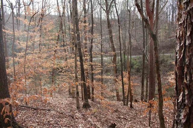 7 Southwest Holloway Road Cleveland, TN 37311 - Photo 11 of 20 Gallery Image 11
