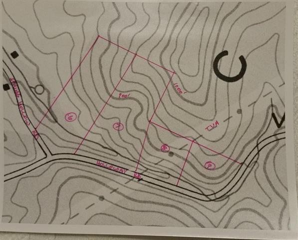Gallery Image 5