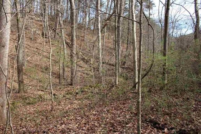 7 Southwest Holloway Road Cleveland, TN 37311 - Photo 8 of 20 Gallery Image 8
