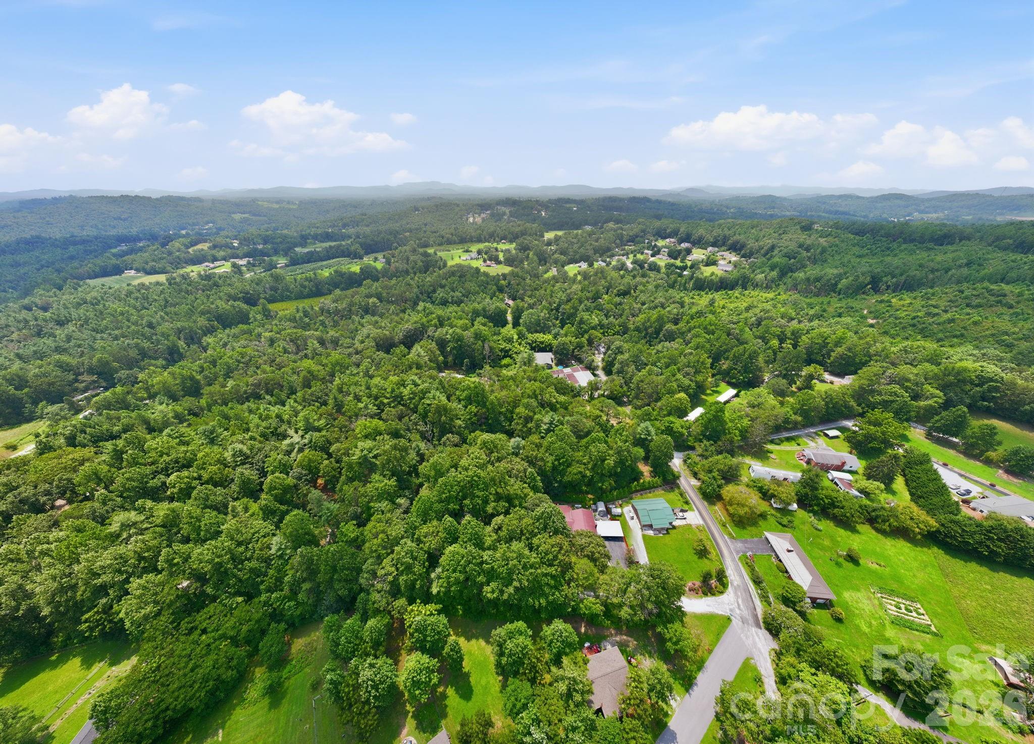 Lot 1 Chestnut Stump Road Hendersonville, NC 28792 - Photo 12 of 13