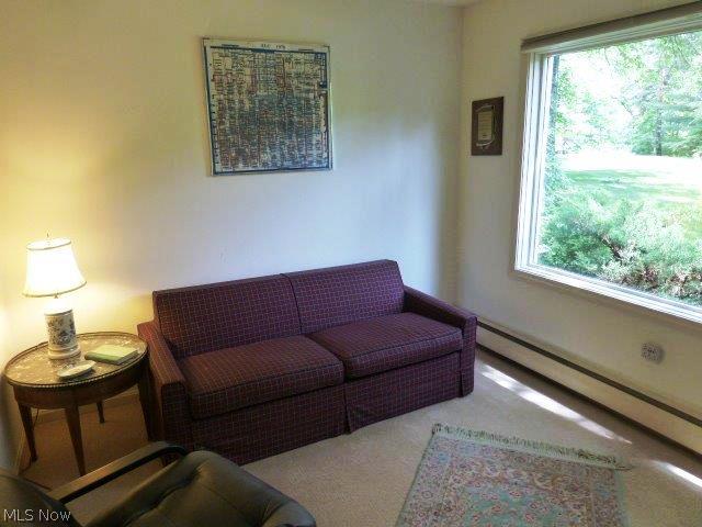600-1 Falls Road Chagrin Falls, OH 44022 - Photo 16 of 21 Gallery Image 16