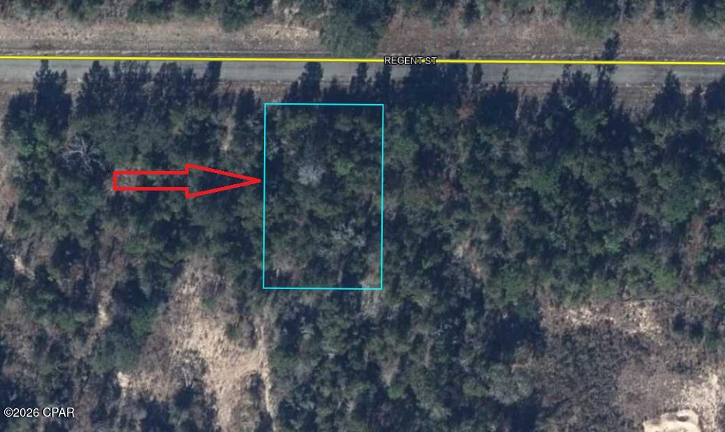 Tbd Weller Street Chipley, FL 32428 - Photo 8 of 10