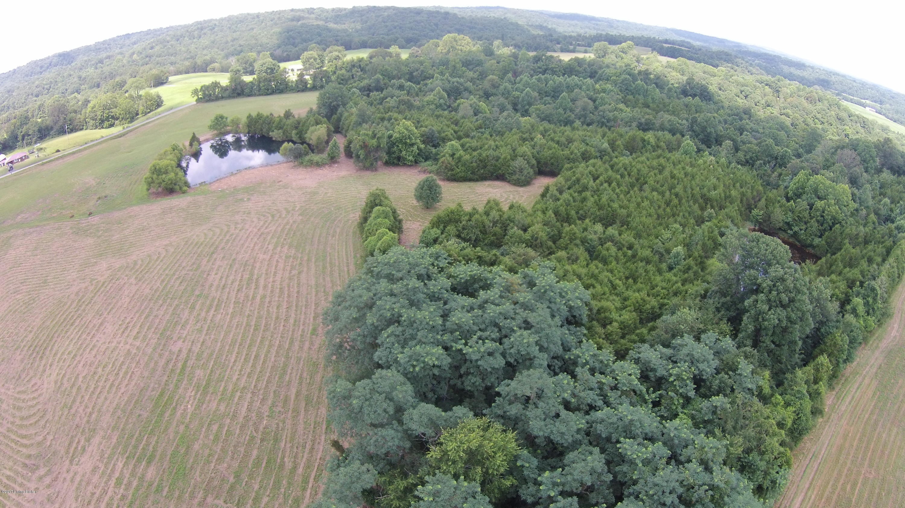1192 Mell Cork Road, Unit ALL Edmonton, KY 42129 - Photo 4 of 44 DJI00126