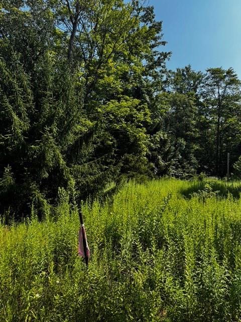 370 Old Hickory Flat Somerset, PA 15501 - Photo 3 of 9