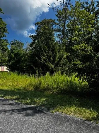 a view of swimming pool from a yard