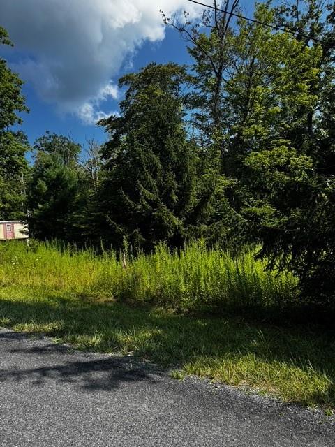370 Old Hickory Flat Somerset, PA 15501 - Photo 5 of 9 a view of lake view