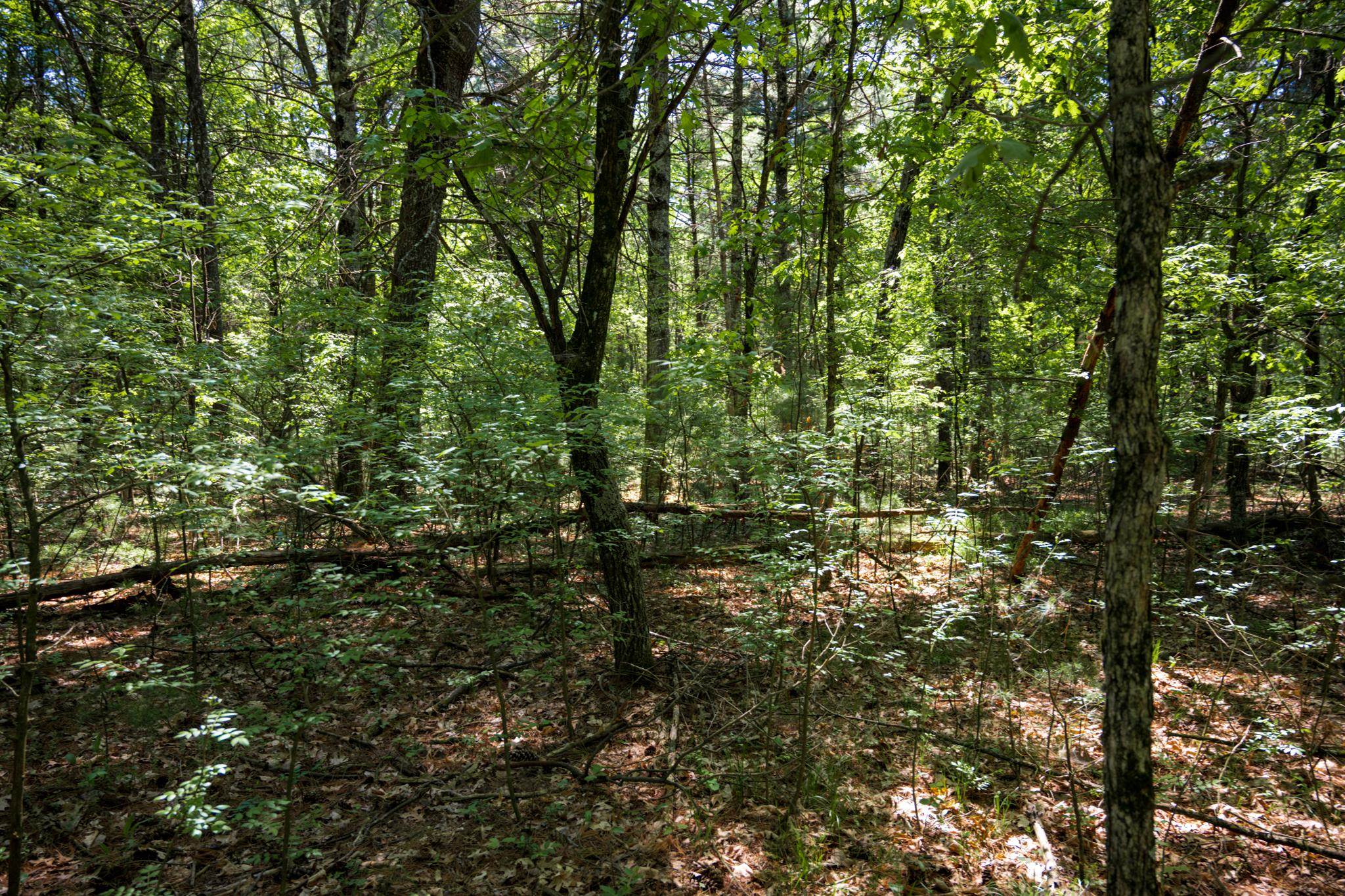 Lot 132 19th Arkdale, WI 54613 - Photo 13 of 27