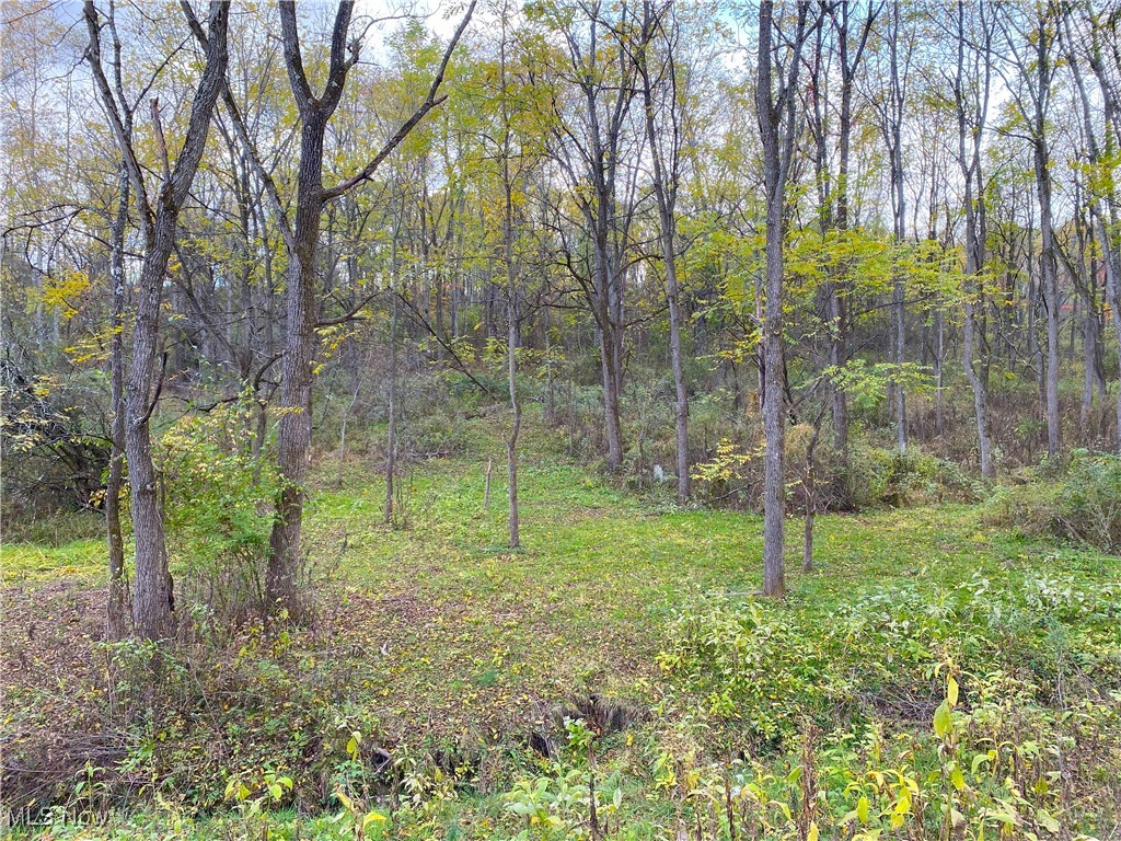Toker Road Hopedale, OH 43976 - Photo 24 of 28 View of local wilderness