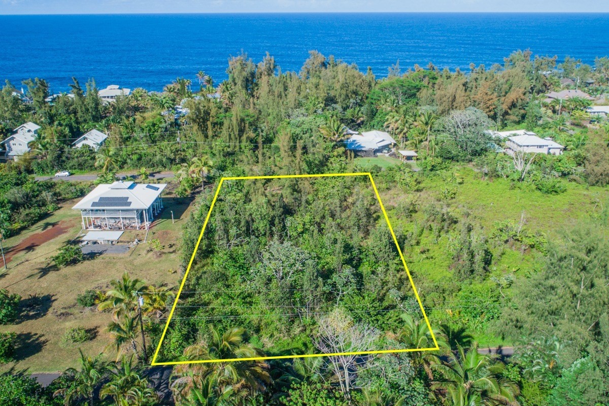 1542 Beach Road Keaau, HI 96749 - Photo 2 of 11 Gallery Image 2