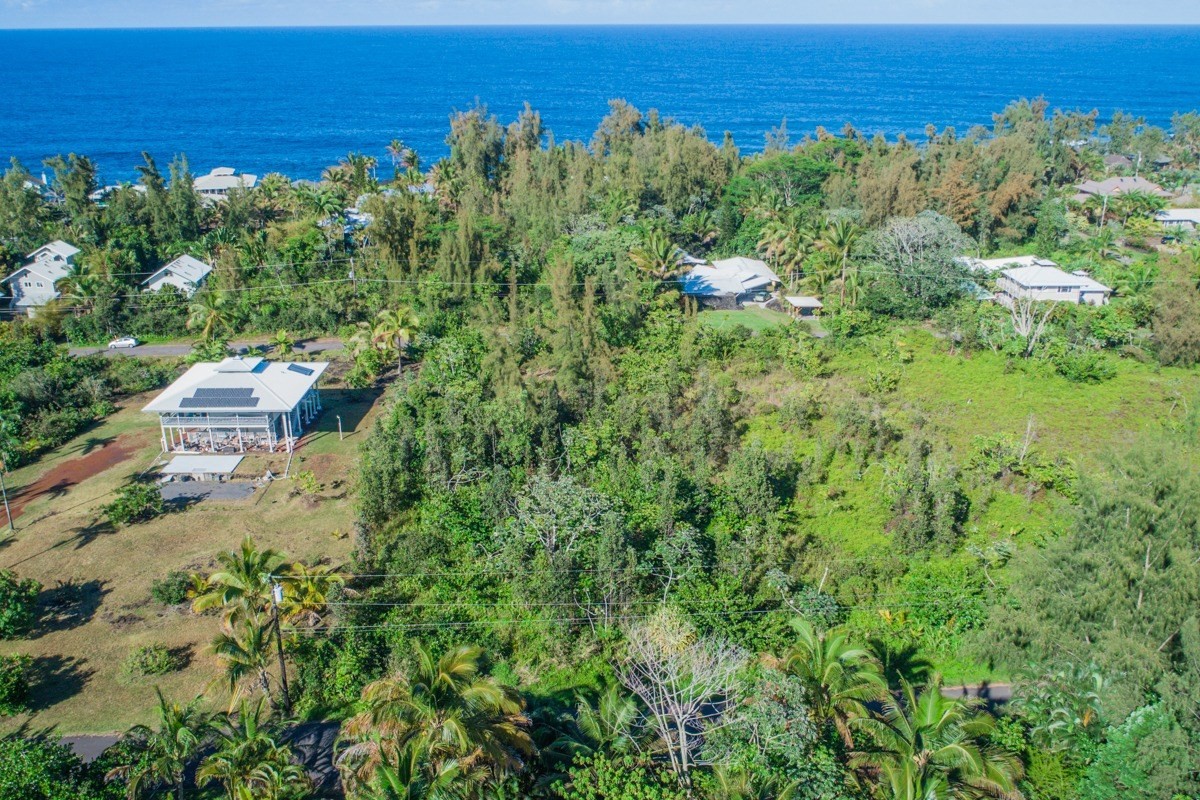 1542 Beach Road Keaau, HI 96749 - Photo 6 of 11 Gallery Image 6