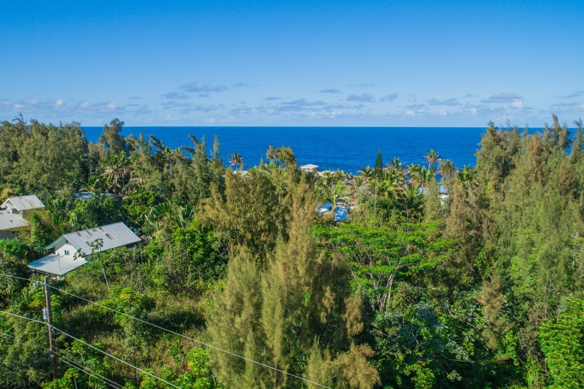 1542 Beach Road Keaau, HI 96749 - Photo 9 of 11 Gallery Image 9