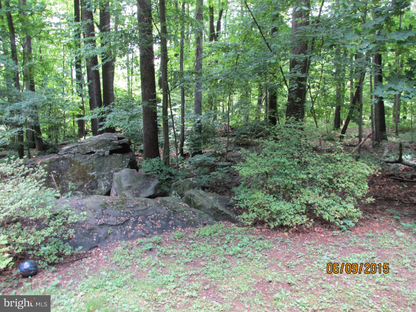 2225 Finland Road Green Lane, PA 18054 - Photo 11 of 14 Gallery Image 11