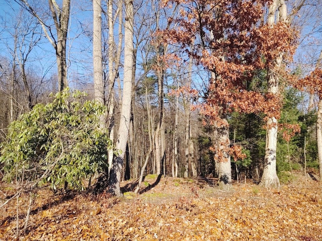 0 Raystown Road Huntingdon, PA 16652 - Photo 21 of 22 Gallery Image 21