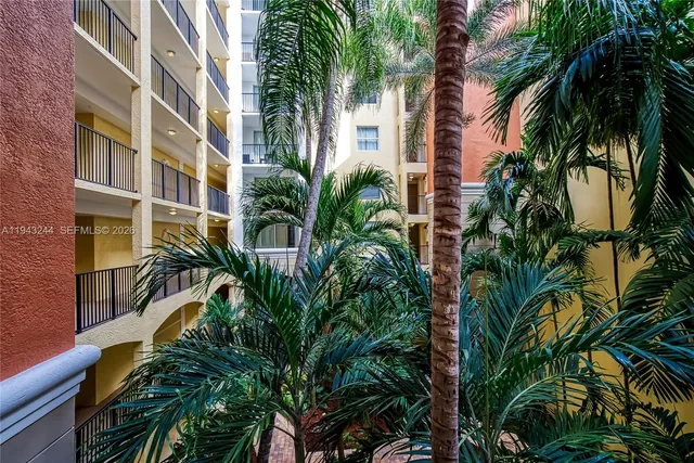 a view of a palm plant with a palm tree