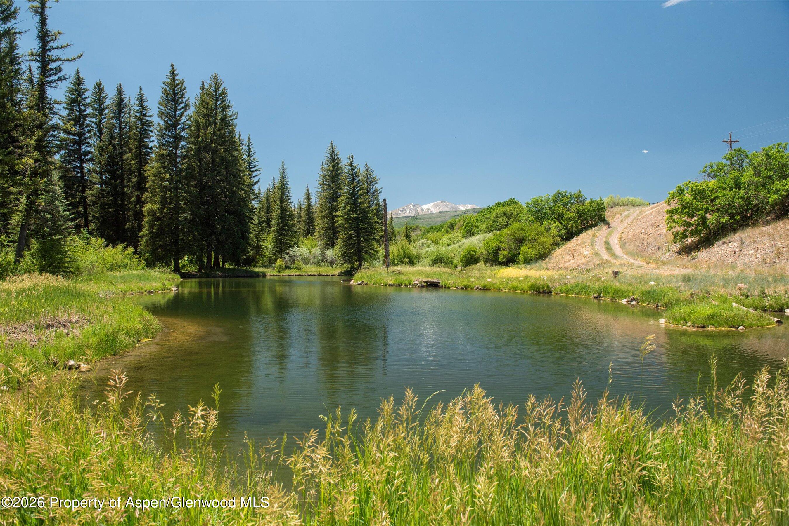 1645 Capitol Creek Road Snowmass, CO 81654 - Photo 56 of 80 Stocked pond