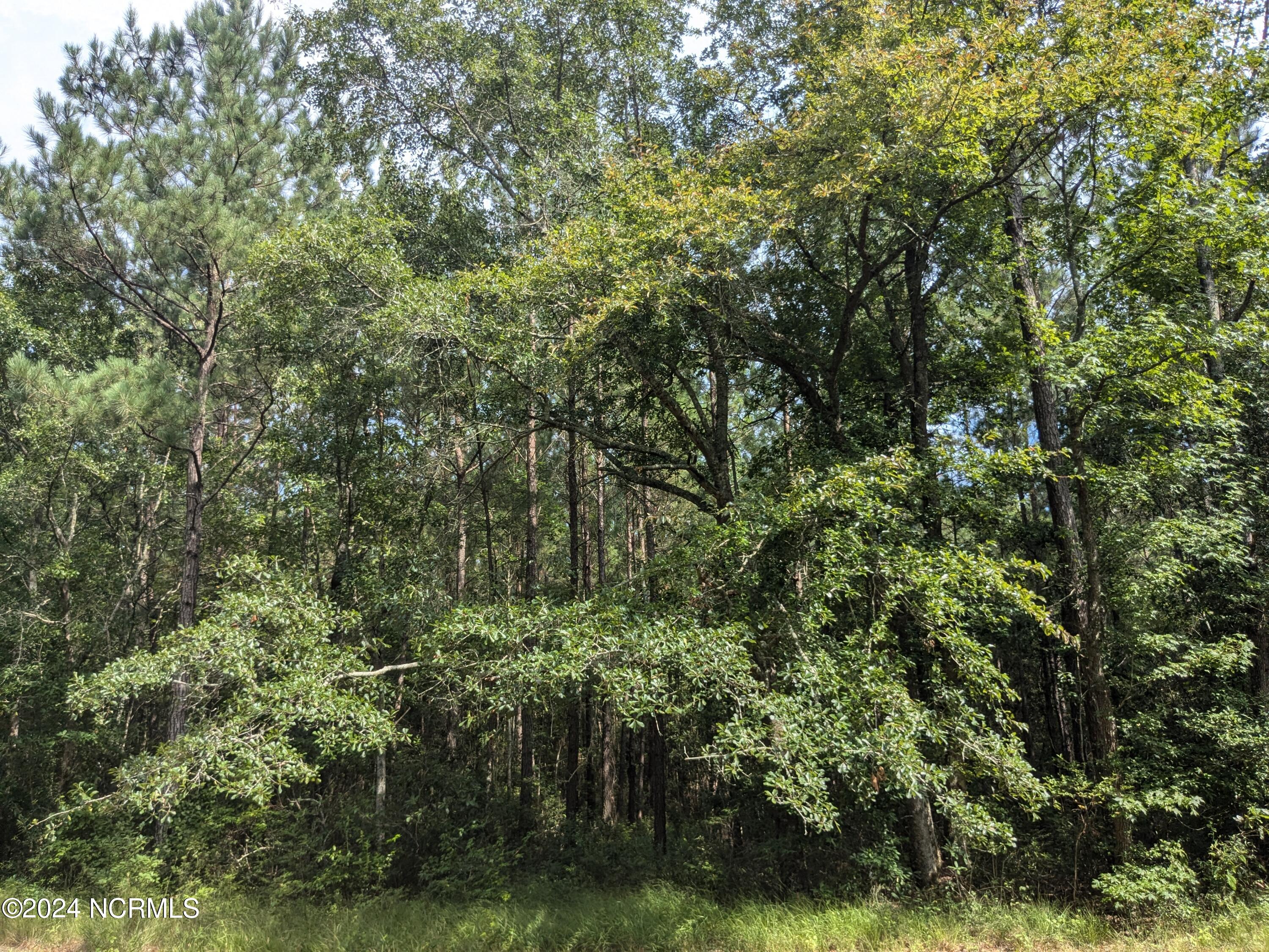 0 Montague Road Currie, NC 28435 - Photo 20 of 28 PXL_20240706_201827392