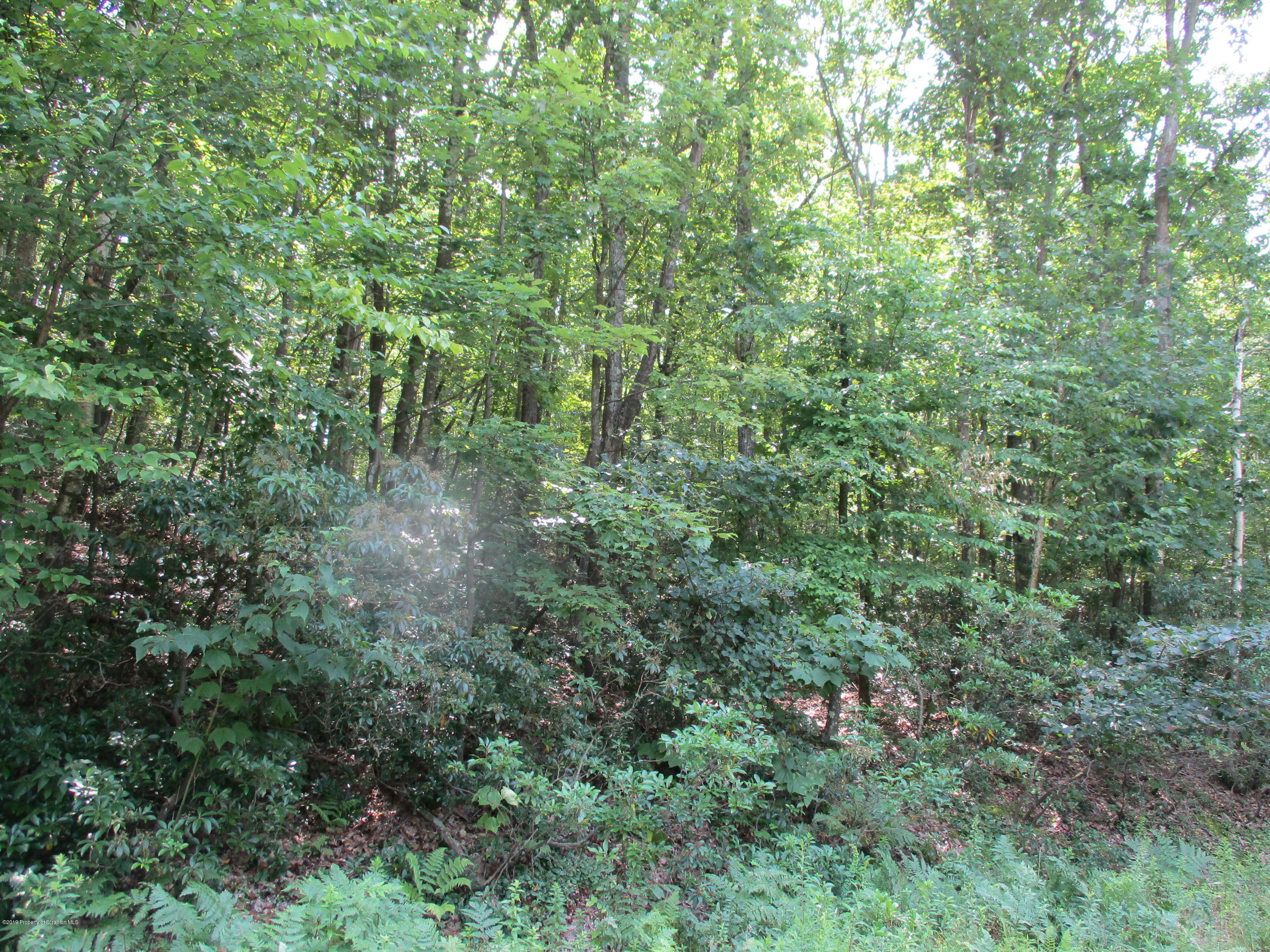 969 Newton Road Clarks Summit, PA 18411 - Photo 1 of 1 Lot 14- 2
