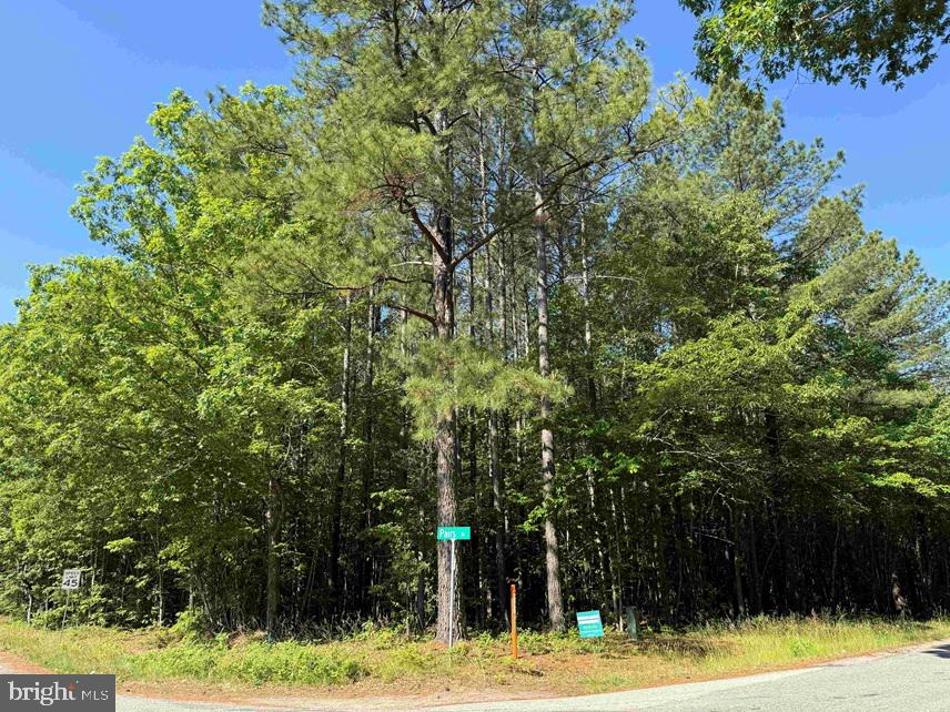 Brandy Creek Road Emporia, VA 23847 - Photo 13 of 15
