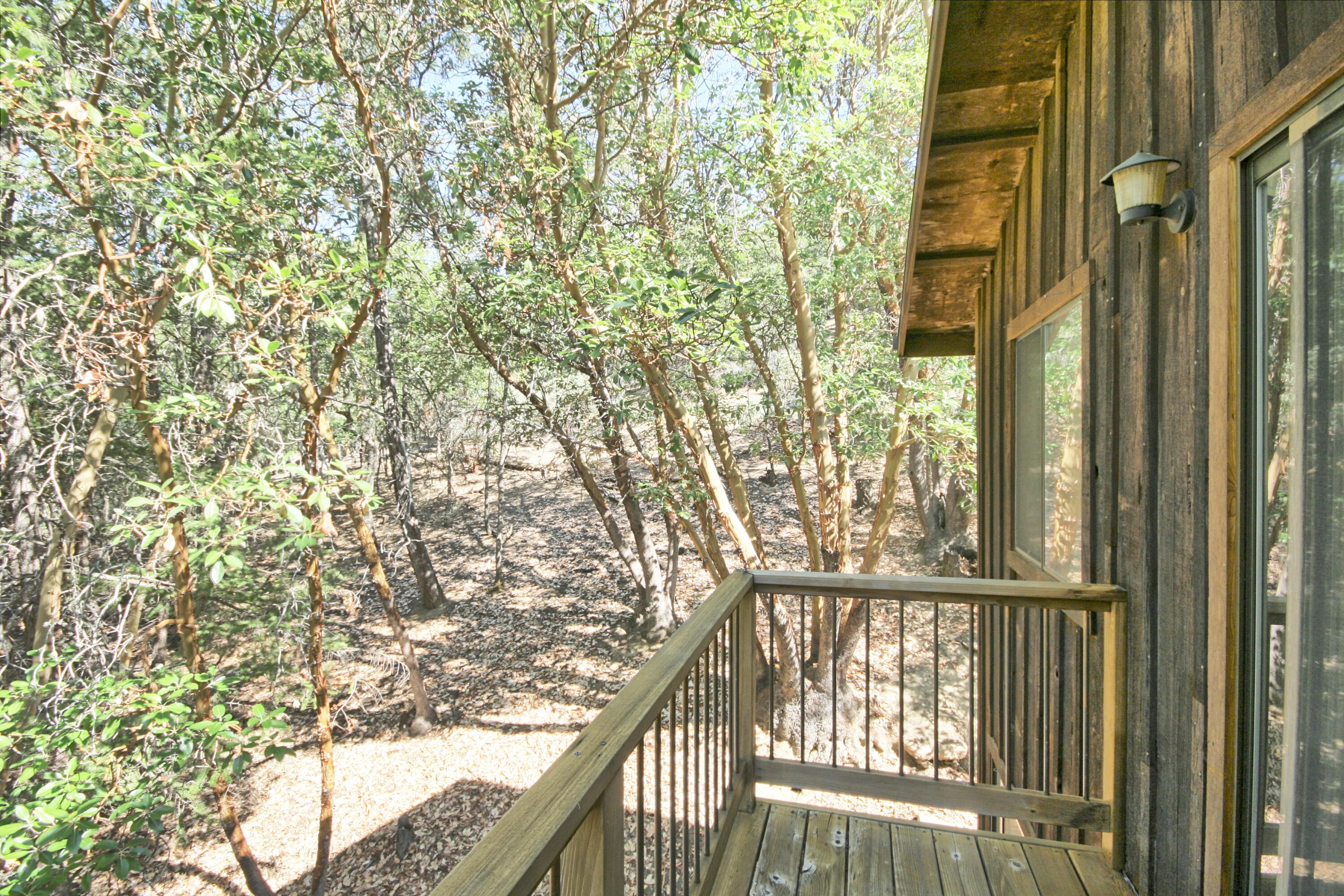 939 Beaver Creek Road Jacksonville, OR 97530 - Photo 25 of 53 master balcony looking north