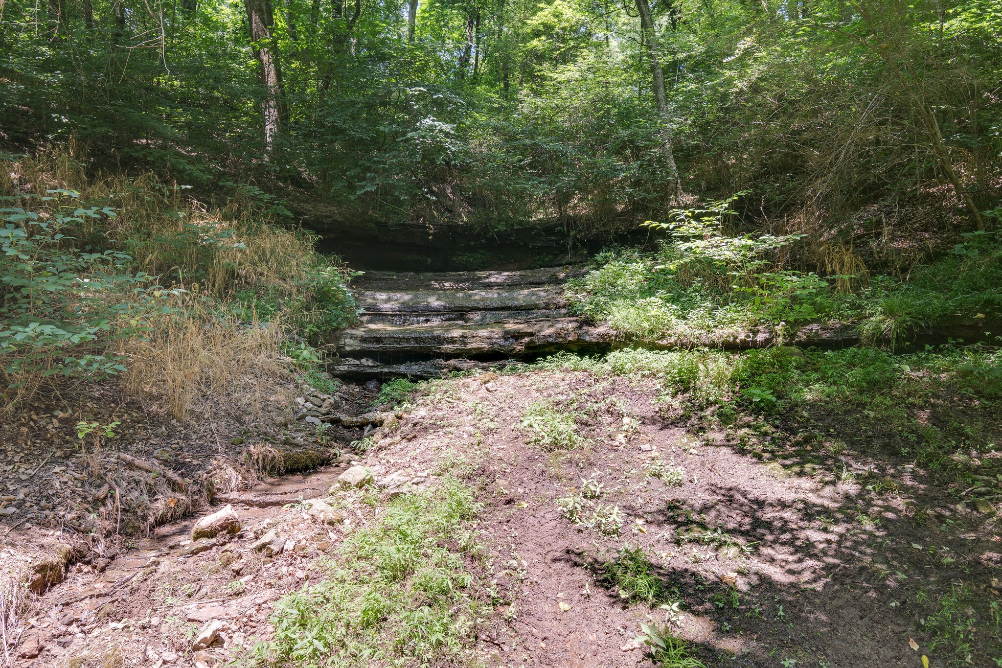 3201 Ball Hollow Road Pulaski, TN 38478 - Photo 22 of 49 Gallery Image 22