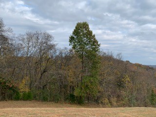 3201 Ball Hollow Road Pulaski, TN 38478 - Photo 25 of 49 Gallery Image 25