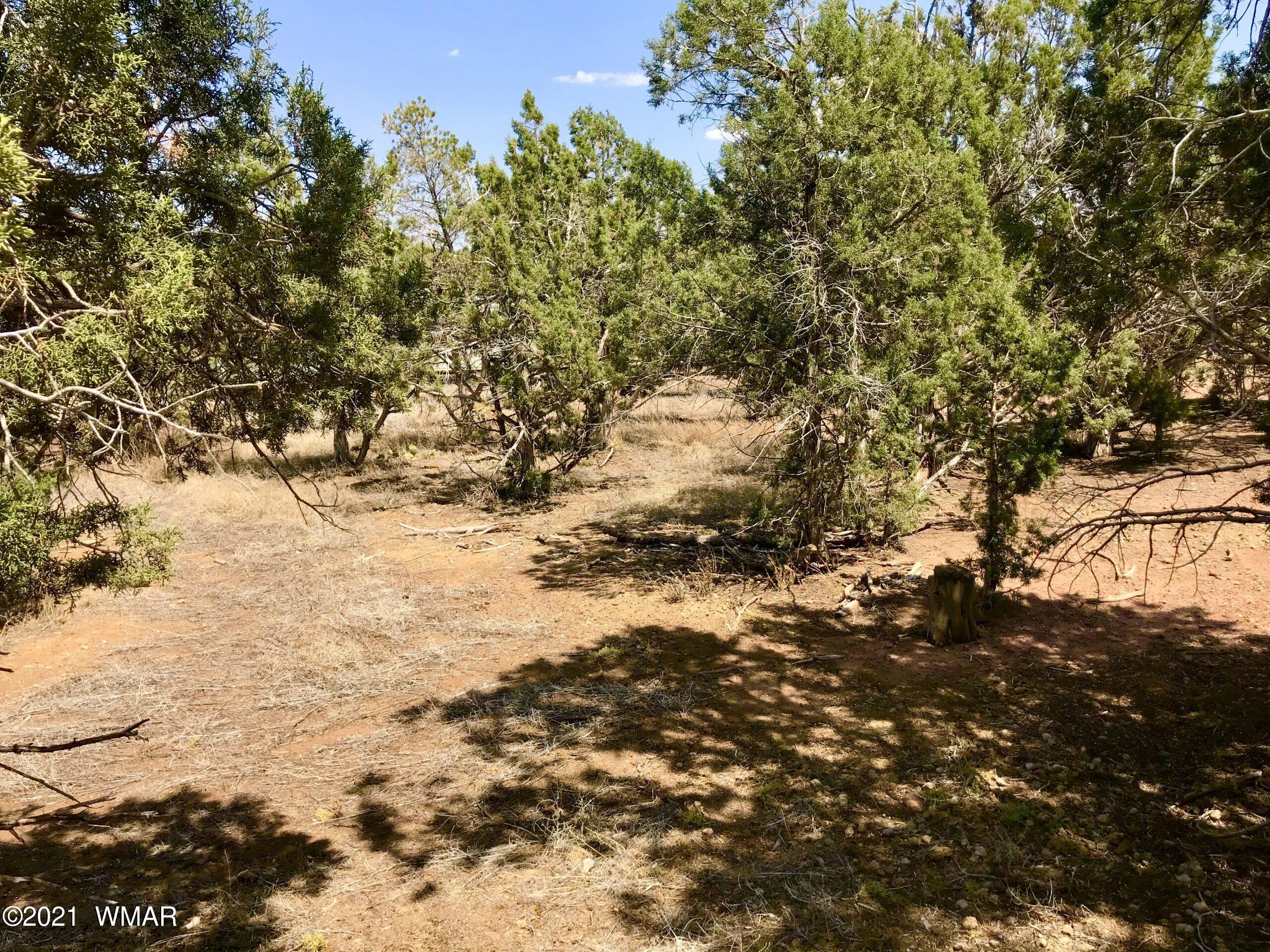 2145 Halite Road Clay Springs, AZ 85923 - Photo 20 of 26