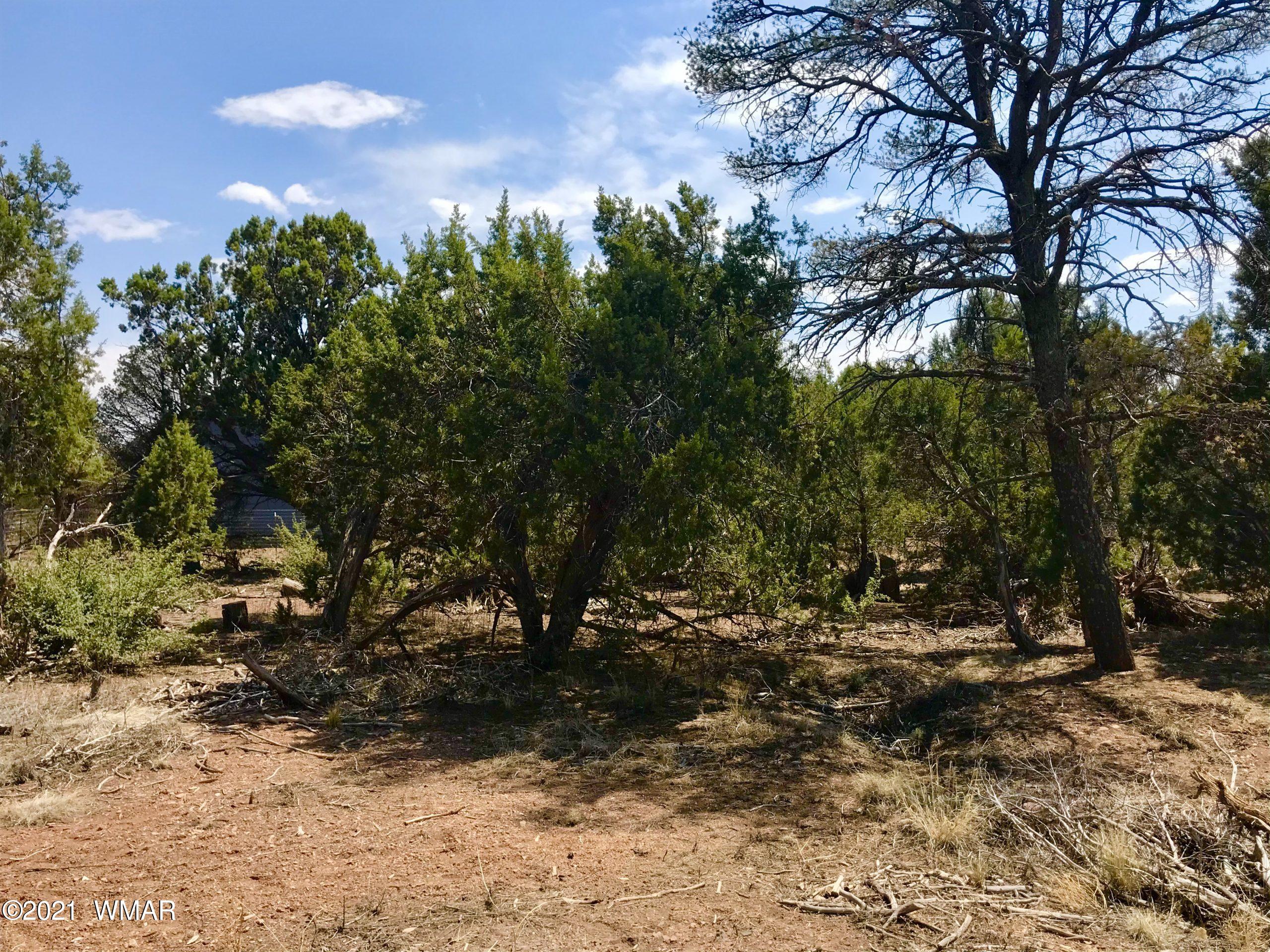 2145 Halite Road Clay Springs, AZ 85923 - Photo 23 of 26