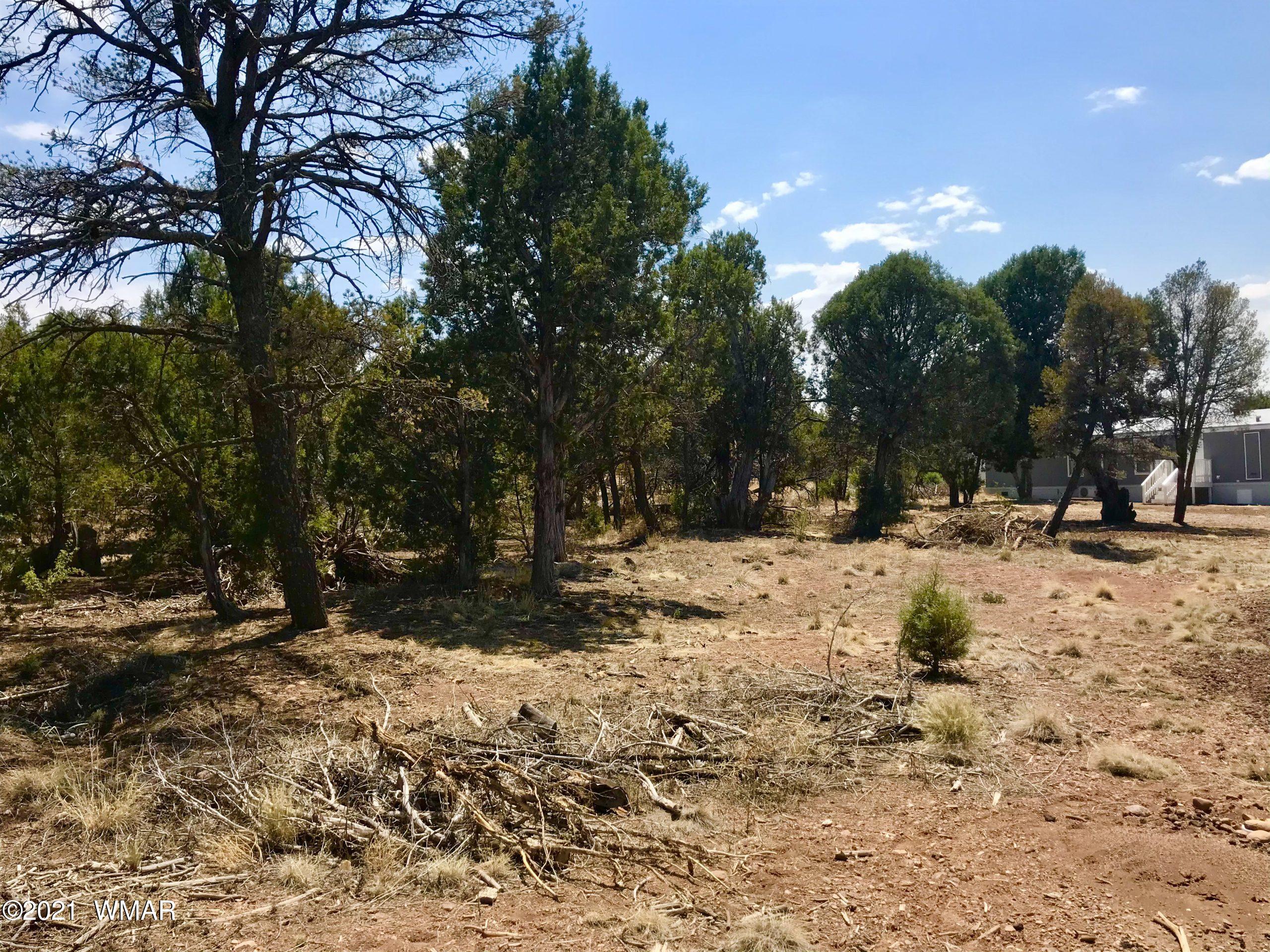2145 Halite Road Clay Springs, AZ 85923 - Photo 26 of 26