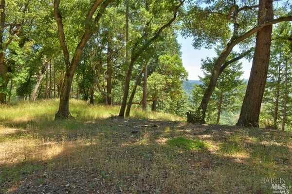 a view of a yard with a tree